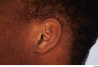 Kavan ear 0001.jpg